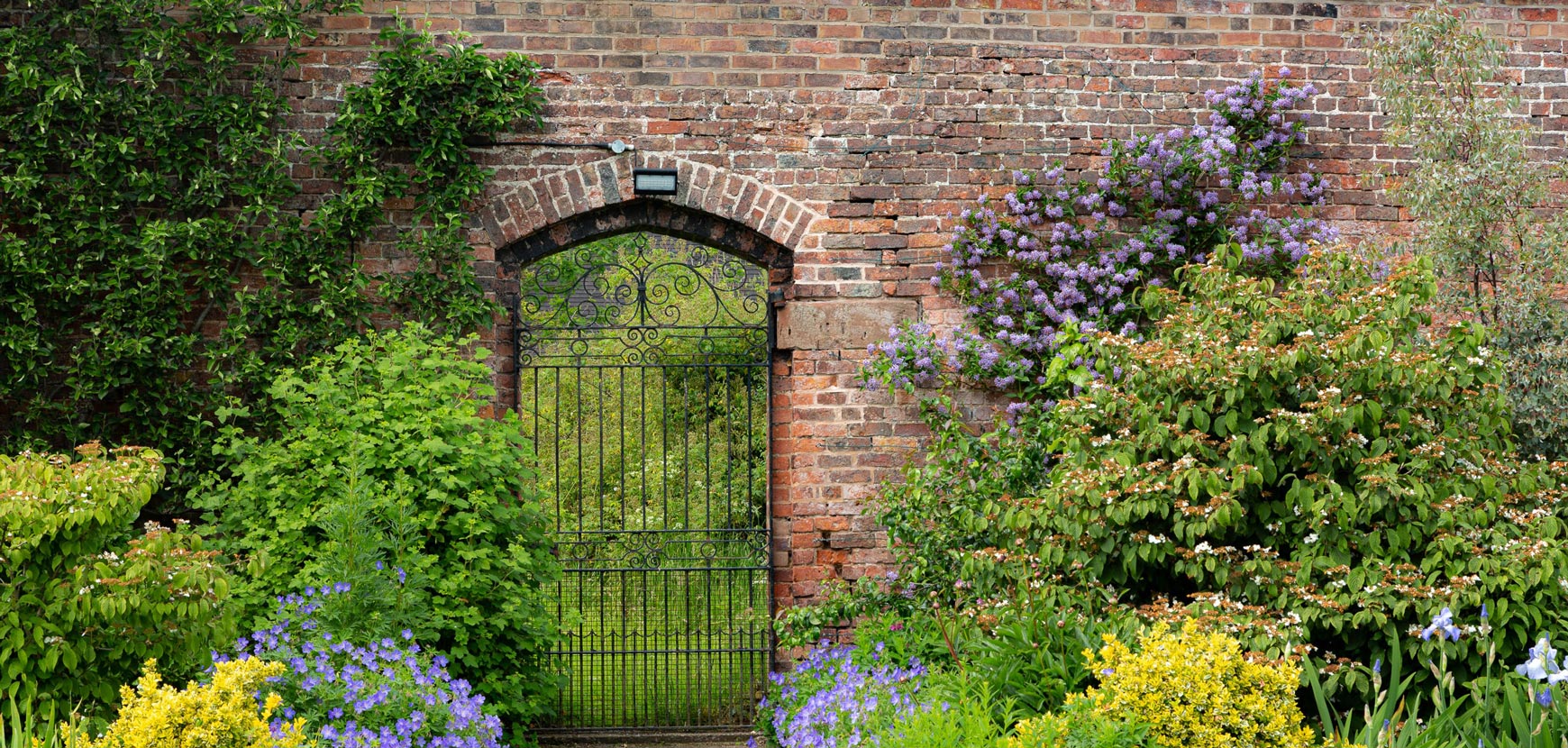 Pr&eacute;parer et am&eacute;liorer le sol