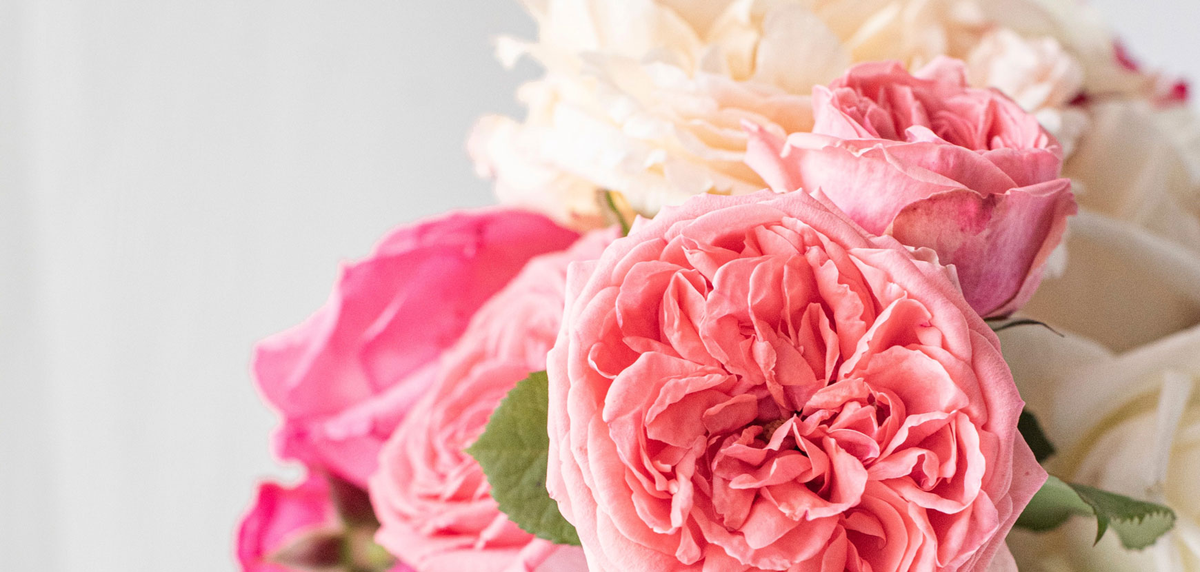 Un jardin parfum&eacute;