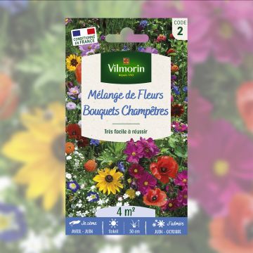 m&eacute;lange de fleurs bouquets champ&ecirc;tres