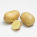 Pomme de terre PRIMLADY ® Rikéa
