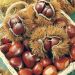 Châtaignier ou Castanea sativa Marron de Lyon