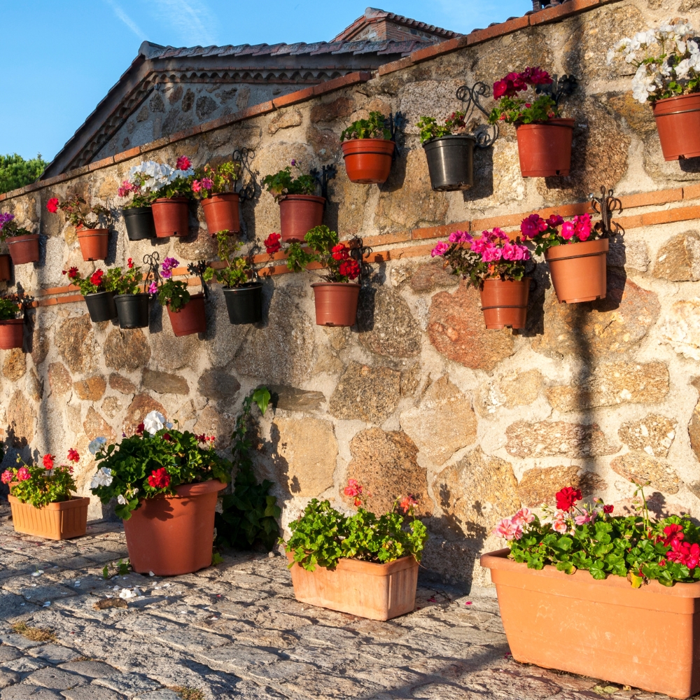 d&eacute;coration mur g&eacute;ranium