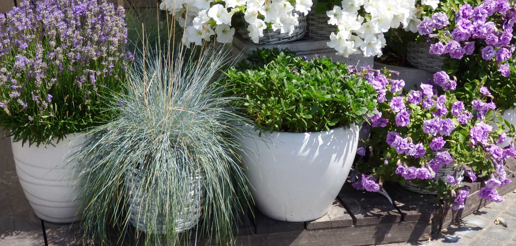 Espaces difficiles &agrave; fleurir