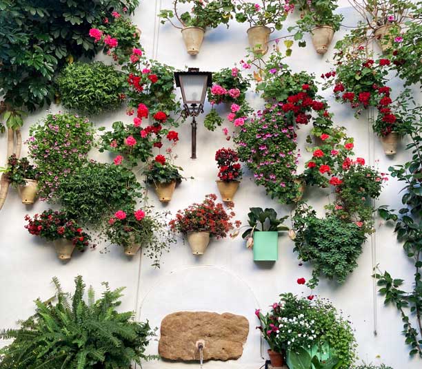 Patio Andalou g&eacute;raniums