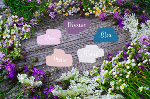 /media/wysiwyg/conseils-inspi/inspi-romantique-roses/Palette-Couleurs.jpg