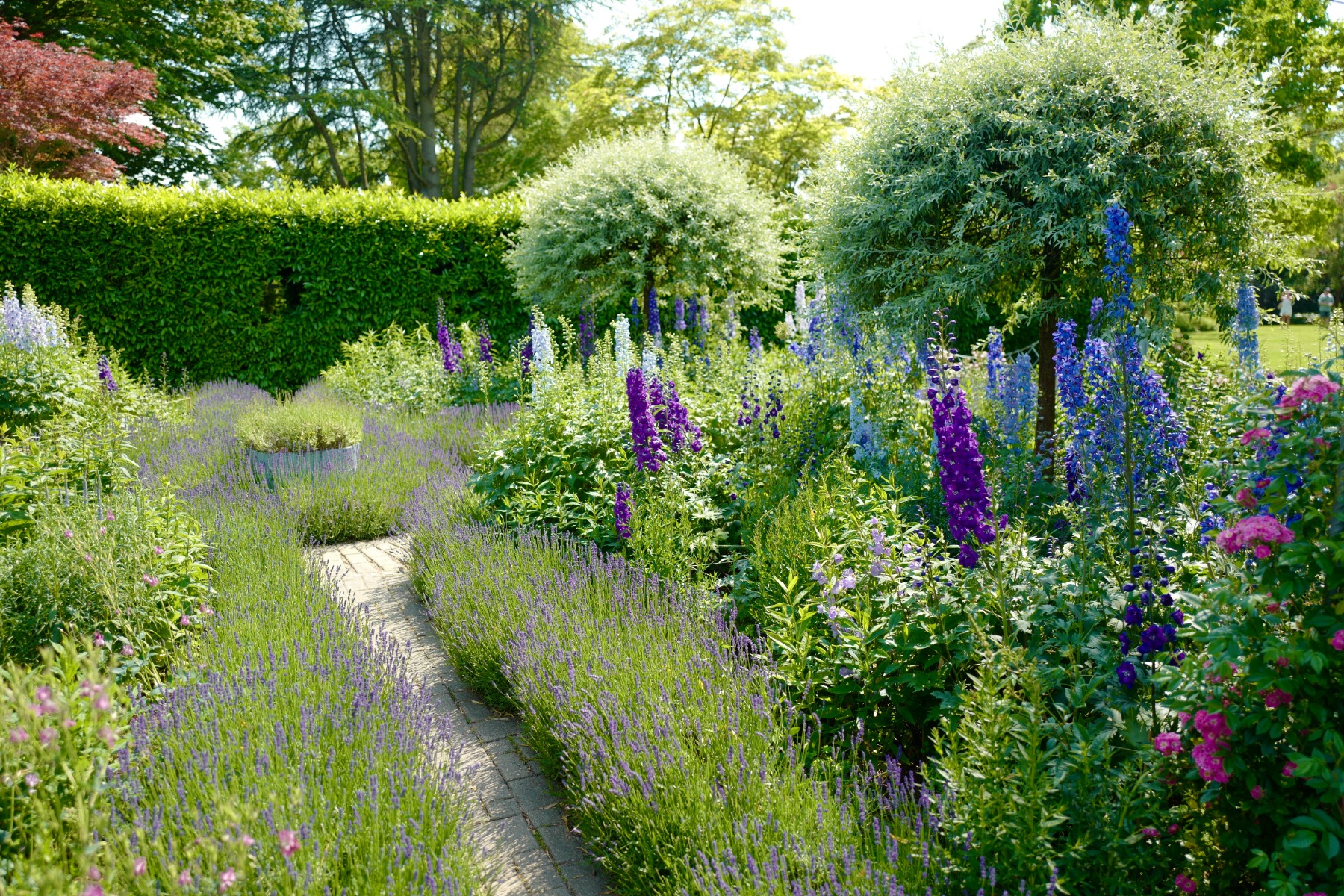 /media/wysiwyg/conseils-inspi/pagechapeauconseilssaison/Ambiance-Delphiniums-Lavandes-All_e_shutterstock_2315405777.jpg