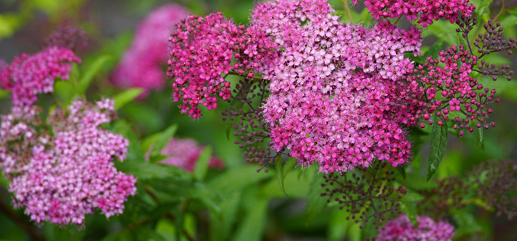 &Eacute;t&eacute; : tous nos conseils