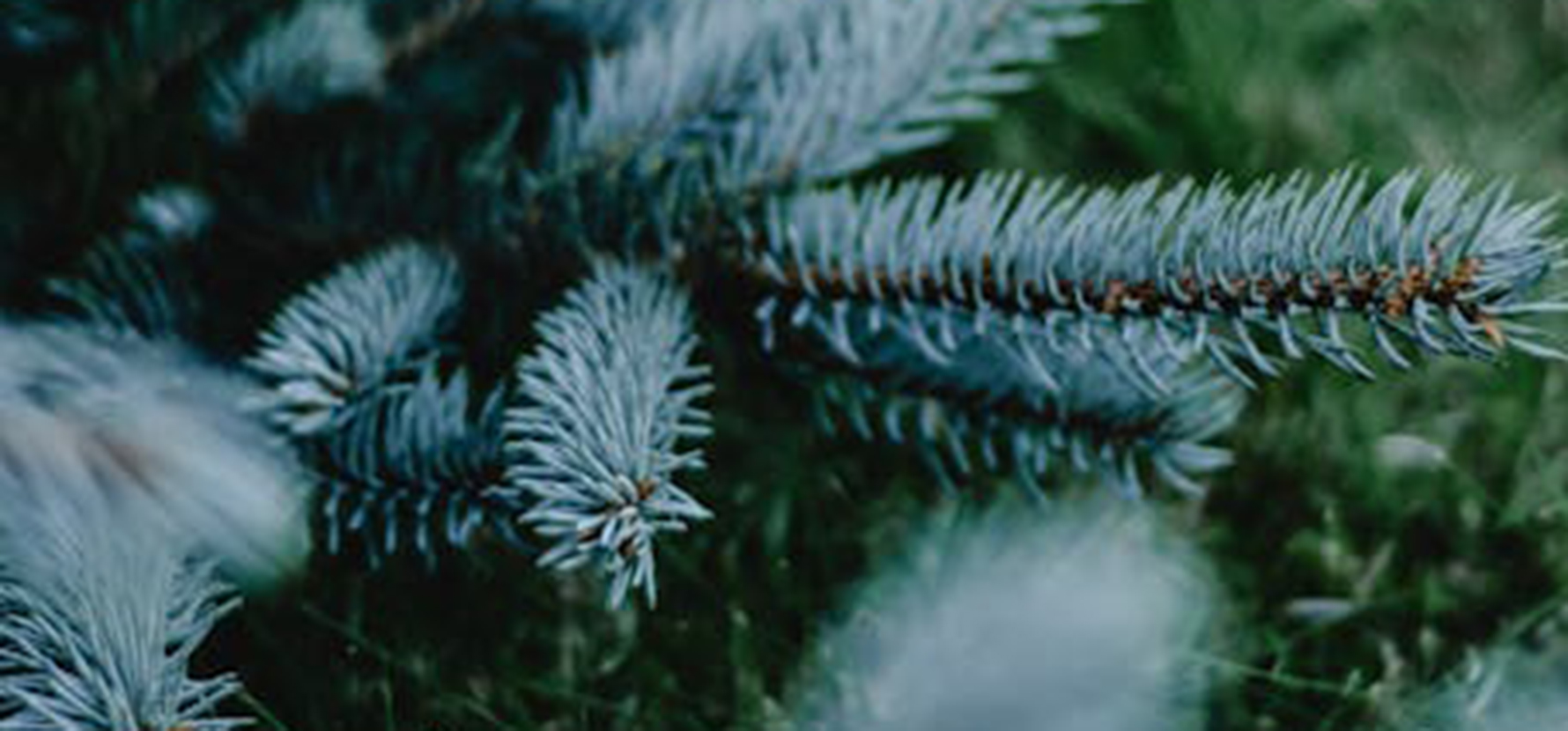 Hiver : tous nos conseils