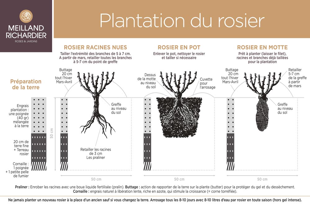 Sch&eacute;ma de plantation
