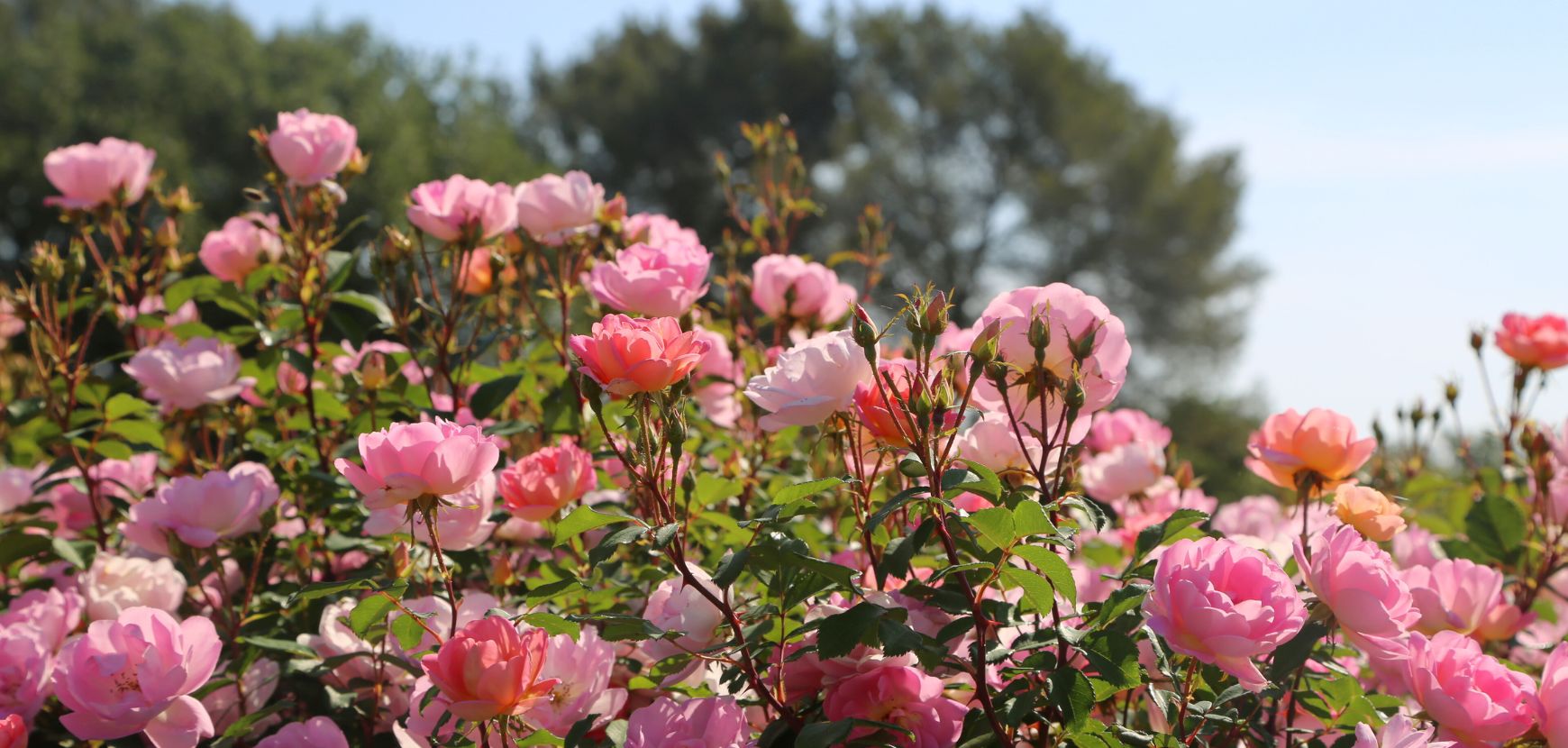 Certifications et r&eacute;compenses