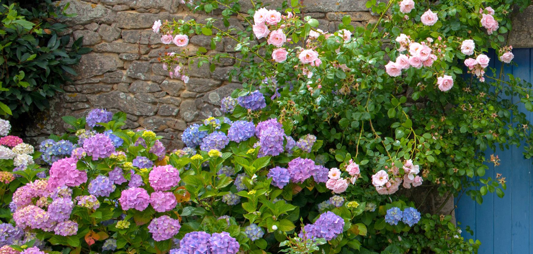 Nos ambiances faciles &agrave; recr&eacute;er