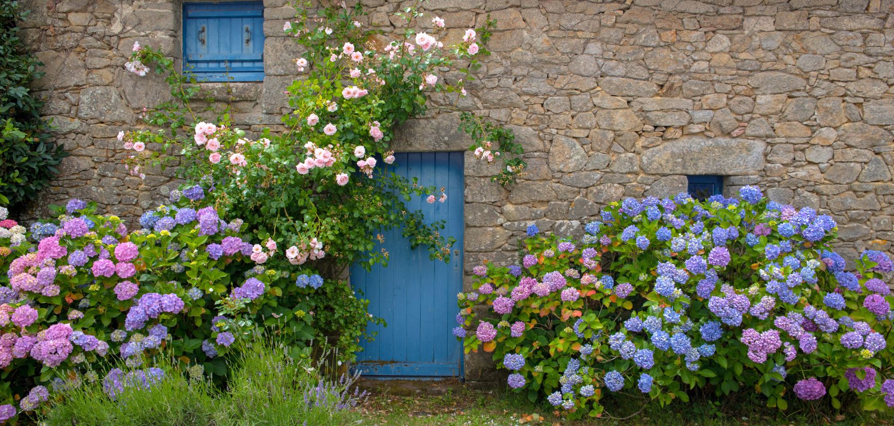 Palmar&egrave;s Magazine CAPITAL 2023