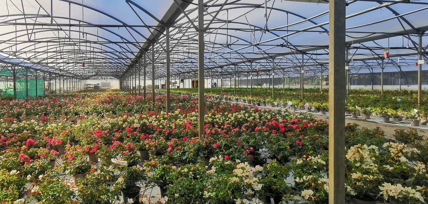 Meilland Richardier recrute !