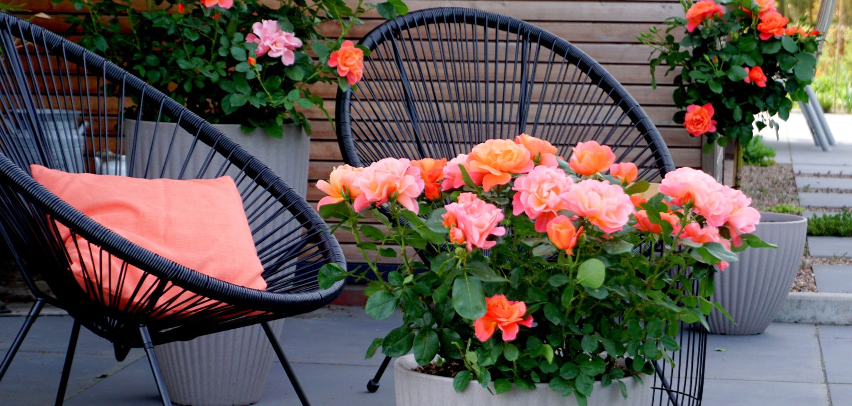 D&eacute;lais de livraison